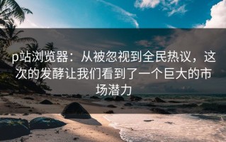 p站浏览器：从被忽视到全民热议，这次的发酵让我们看到了一个巨大的市场潜力
