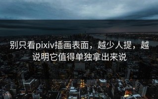 别只看pixiv插画表面，越少人提，越说明它值得单独拿出来说