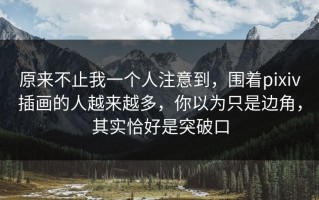 原来不止我一个人注意到，围着pixiv插画的人越来越多，你以为只是边角，其实恰好是突破口