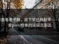 表面看着平静，底下早已热起来——探索pixiv榜单的深层次原因