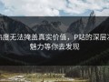热度无法掩盖真实价值，P站的深层次魅力等你去发现