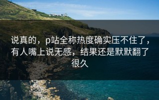 说真的，p站全称热度确实压不住了，有人嘴上说无感，结果还是默默翻了很久